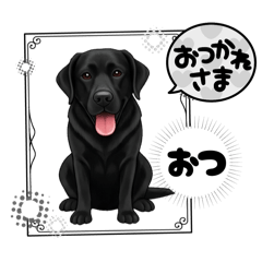 [LINEスタンプ] 『ラブラドールレトリバー』のスタンプ