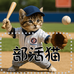 [LINEスタンプ] 面白い＆可愛い部活猫メッセージスタンプ