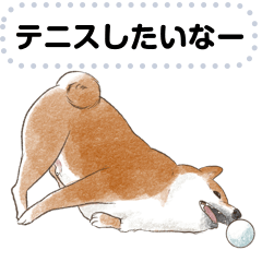 [LINEスタンプ] 柴犬のテニス部ライフ