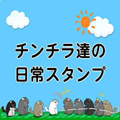 [LINEスタンプ] チンチラちゃんがいっぱい！【第一弾】
