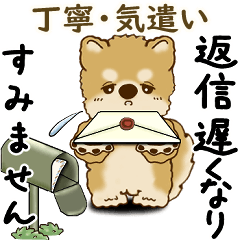 [LINEスタンプ] 柴犬 2025 「丁寧な言葉・気遣い」