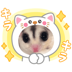 [LINEスタンプ] うちのモモンガ(2856)