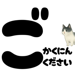 [LINEスタンプ] 敬語★白黒ねこのていねいスタンプ
