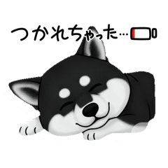 [LINEスタンプ] 『柴犬』のスタンプ