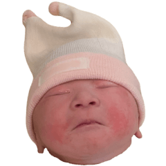 [LINEスタンプ] みんちゃ スタンプ