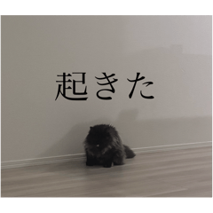 [LINEスタンプ] わたげと仲間