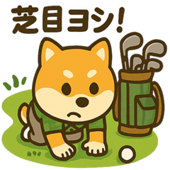 [LINEスタンプ] ゴルフ好きな柴犬[スポーツ好き・友達に]