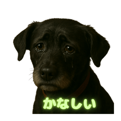 [LINEスタンプ] おてんばわんこの表情スタンプ