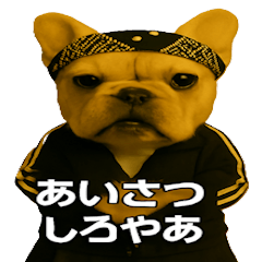 [LINEスタンプ] ワルかわ特攻隊！ワンコ＆ニャンコ