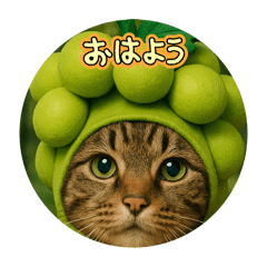 [LINEスタンプ] 果物クーちゃん＆コラボ