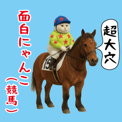 [LINEスタンプ] 面白にゃんこ(競馬)