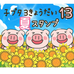 [LINEスタンプ] 子ブタ3きょうだい 13  夏スタンプ
