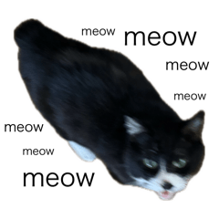 [LINEスタンプ] 田中 福丸2