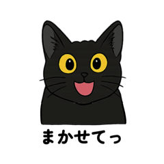 [LINEスタンプ] 黒猫兄弟ココピー②