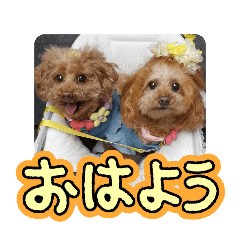 [LINEスタンプ] ni-na ④