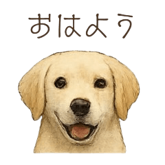 [LINEスタンプ] ほんのりリアルな犬の気持ち