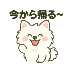 [LINEスタンプ] ハクの部屋／日常使えるスタンプ5