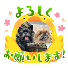 [LINEスタンプ] 2025年 王子と神美夢③