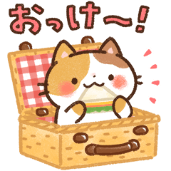 [LINEスタンプ] Emmaの ねこいろいろスタンプ 2