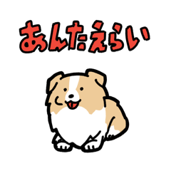 [LINEスタンプ] 日常でも使える！ボーダーコリー！茶白