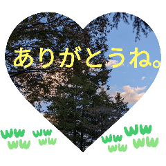 [LINEスタンプ] 知らぬ間に大人にされた日常挨拶 日本語