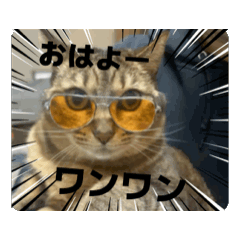 [LINEスタンプ] 動いてる愛しのみーこ4