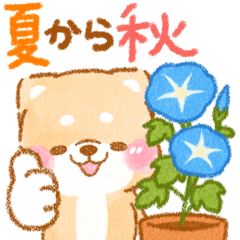 [LINEスタンプ] 夏から秋❤️いやしばいぬ❤️柴犬/暑中/敬語