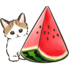 [LINEスタンプ] 夏の毎日☆猫たちのスタンプ2
