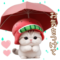 [LINEスタンプ] 可愛いスイカ帽ネコ 使える状況＆日常 敬語
