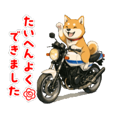 [LINEスタンプ] 芝犬とバイクの動くスタンプ
