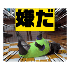 [LINEスタンプ] 動くマチャド1