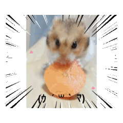 [LINEスタンプ] 動くハム＆ごま