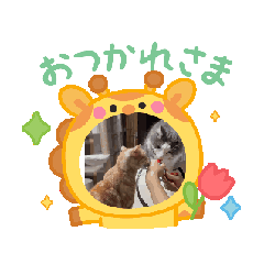 [LINEスタンプ] ニャンズ7