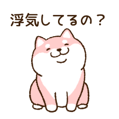 [LINEスタンプ] 笑顔でかれぴの浮気を詰める柴犬彼女