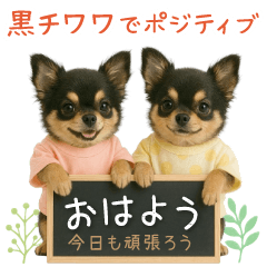 [LINEスタンプ] ポジティブな気持ちを伝える☆黒チワワ