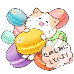 [LINEスタンプ] ぷくぷくはちわれ・グルメ便り
