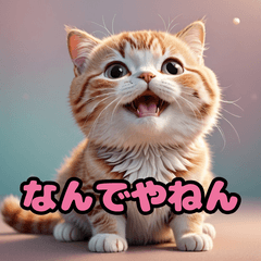 [LINEスタンプ] かわいいニャンコの関西弁スタンプの画像（メイン）