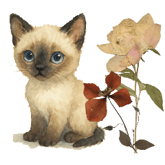 [LINEスタンプ] かわいいシャム猫友情出演白猫40個スタンプ