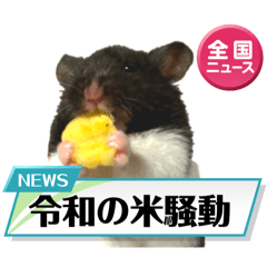 [LINEスタンプ] ハムスター 日常編9