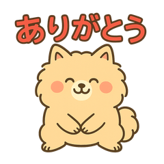 [LINEスタンプ] ふわもこポメのやさしい気持ちスタンプ