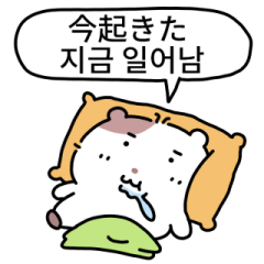 [LINEスタンプ] 小豆ネズミ (日本語/韓国語)