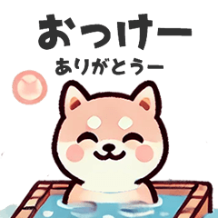 [LINEスタンプ] ず～っと使える♡かわいい日常 柴犬