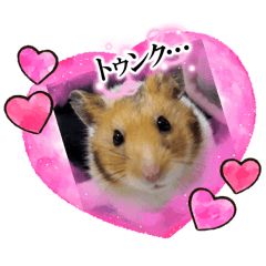 [LINEスタンプ] ハム＆ごま2