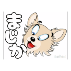 [LINEスタンプ] チワワ犬の楽しいスタンプ3