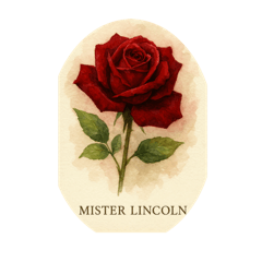 [LINEスタンプ] 薔薇の花シリーズ:Types of Roses