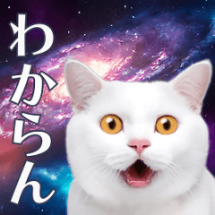 [LINEスタンプ] 動く！驚く！宇宙猫2 -Space Cat-