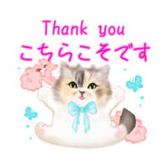 [LINEスタンプ] だるまネコLINEスタンプあーちゃん一家