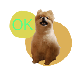 [LINEスタンプ] うちの子いちばん♪