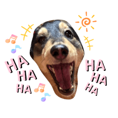 [LINEスタンプ] 愛犬lucky君