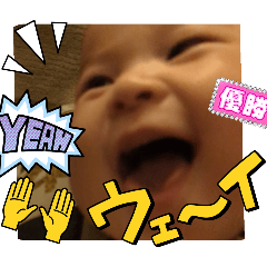 [LINEスタンプ] こっちゃんスタンプSPinJP